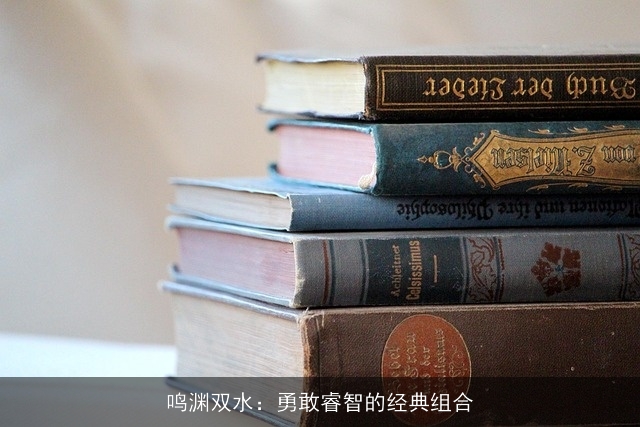 鸣渊双水：勇敢睿智的经典组合