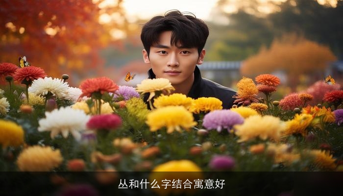 丛和什么字结合寓意好