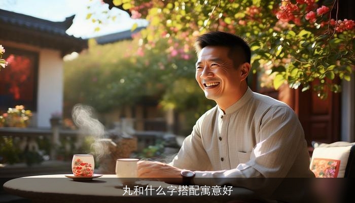 丸和什么字搭配寓意好
