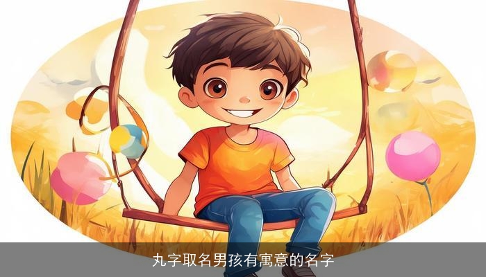 丸字取名男孩有寓意的名字