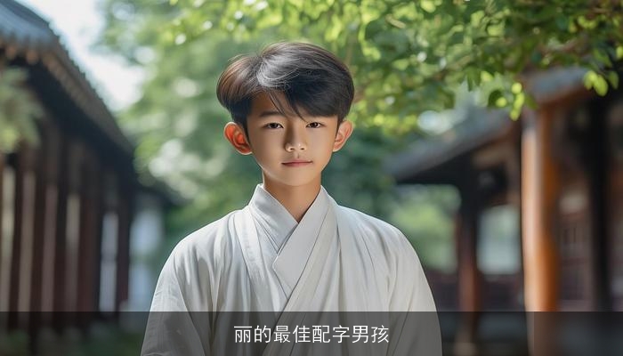 丽的最佳配字男孩