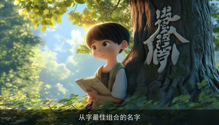 从字最佳组合的名字