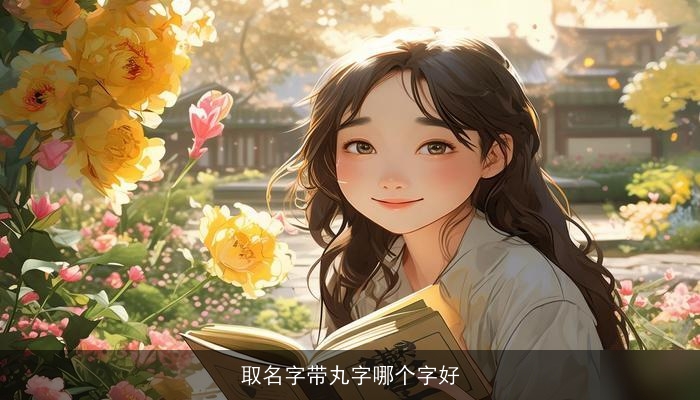取名字带丸字哪个字好