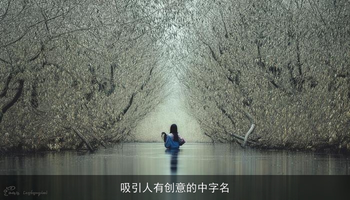 吸引人有创意的中字名