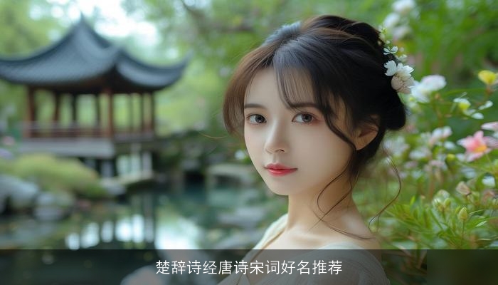 楚辞诗经唐诗宋词好名推荐