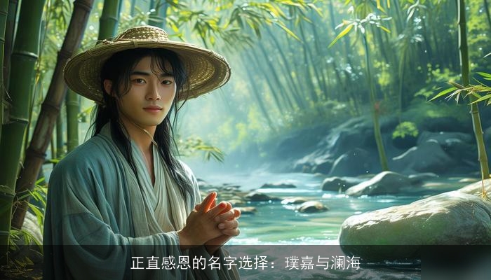 正直感恩的名字选择：璞嘉与澜海