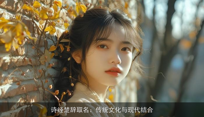 诗经楚辞取名：传统文化与现代结合