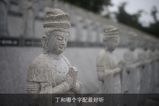 丁和哪个字配最好听
