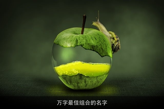 万字最佳组合的名字