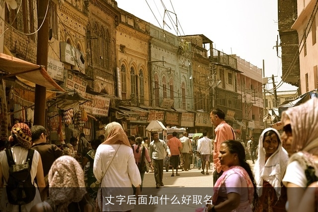 丈字后面加什么好取名