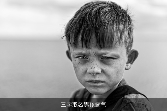 三字取名男孩霸气