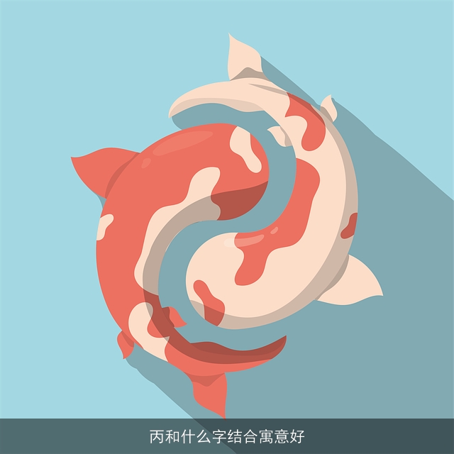 丙和什么字结合寓意好