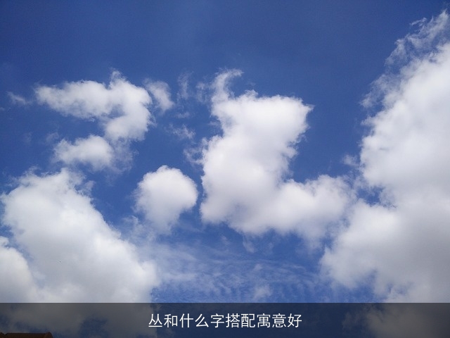丛和什么字搭配寓意好
