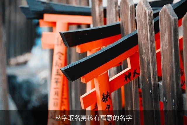 丛字取名男孩有寓意的名字