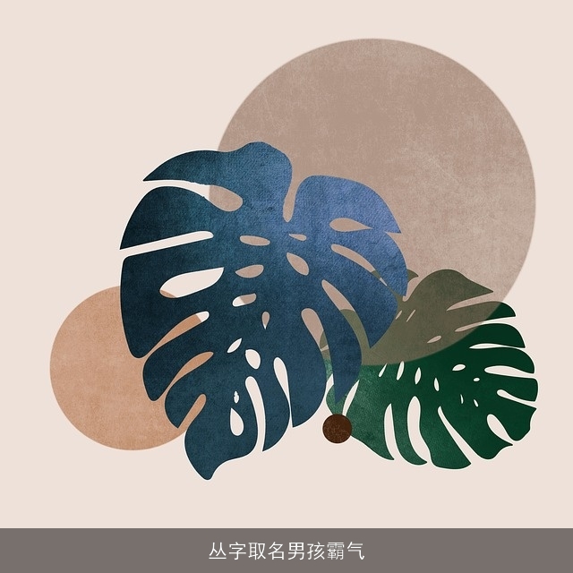 丛字取名男孩霸气