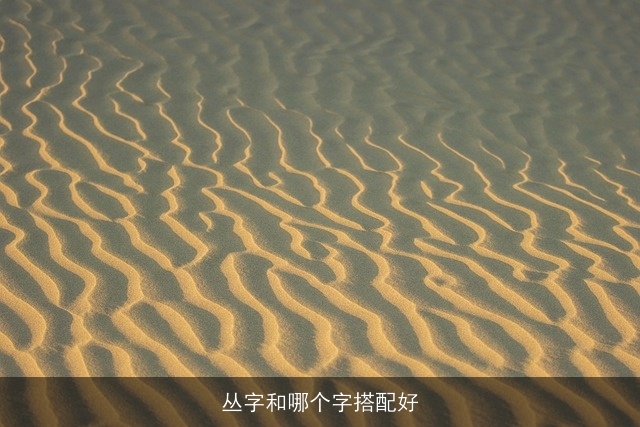 丛字和哪个字搭配好