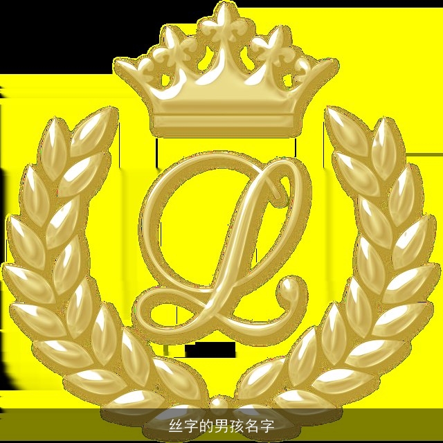 丝字的男孩名字