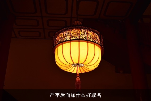 严字后面加什么好取名
