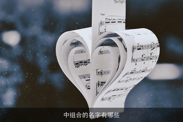 中组合的名字有哪些