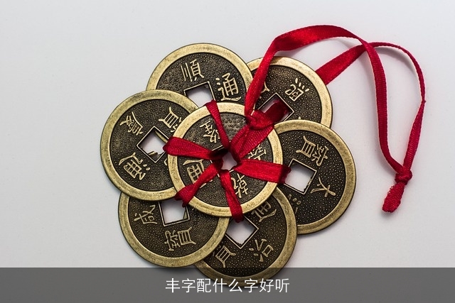 丰字配什么字好听