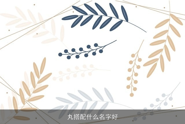丸搭配什么名字好