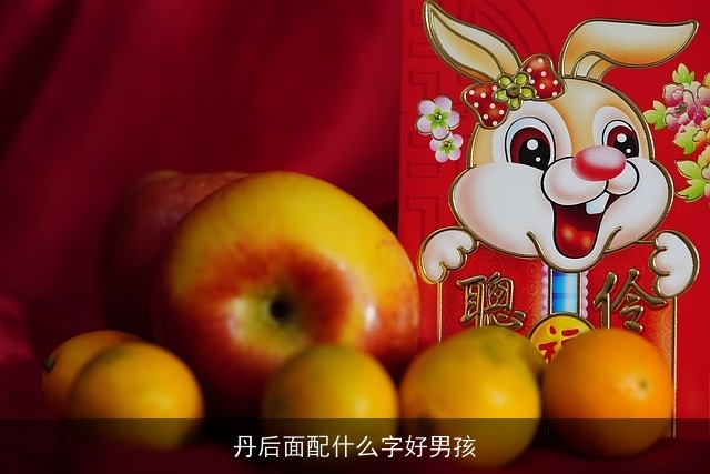 丹后面配什么字好男孩