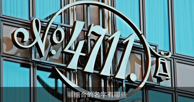 丽组合的名字有哪些