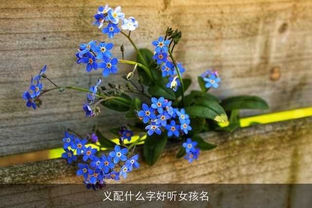 义配什么字好听女孩名
