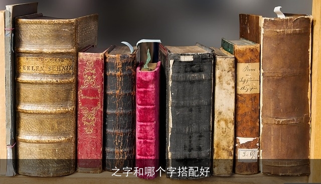 之字和哪个字搭配好
