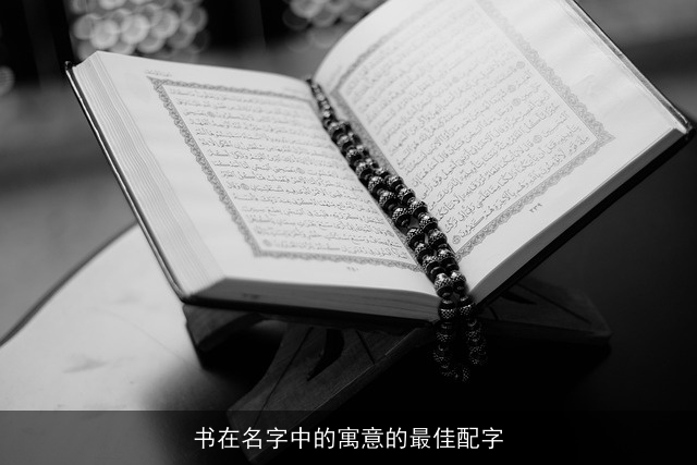 书在名字中的寓意的最佳配字