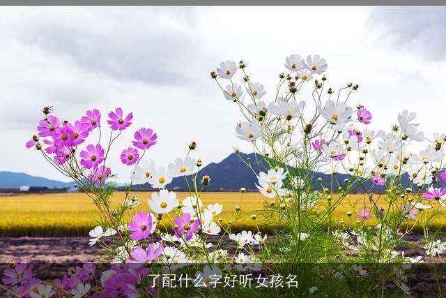 了配什么字好听女孩名