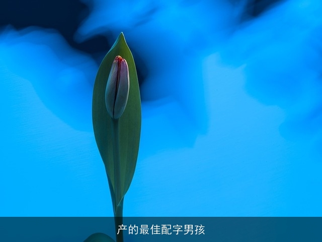 产的最佳配字男孩