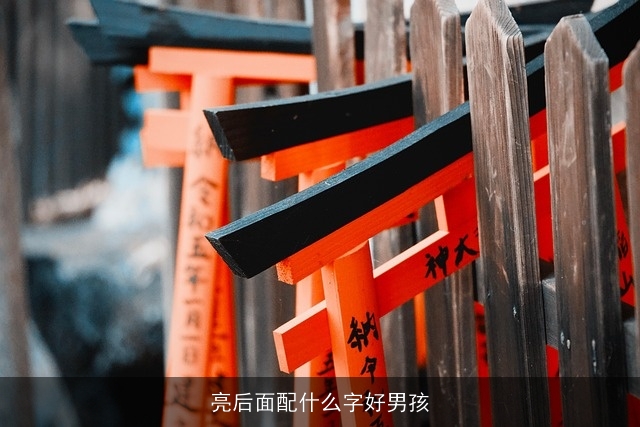亮后面配什么字好男孩