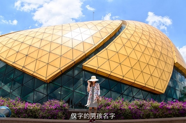 仅字的男孩名字