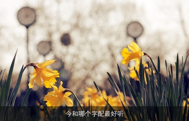今和哪个字配最好听