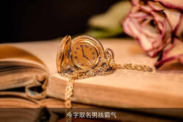 今字取名男孩霸气