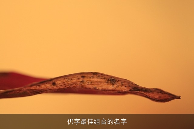 仍字最佳组合的名字