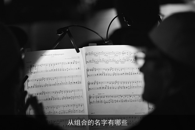从组合的名字有哪些