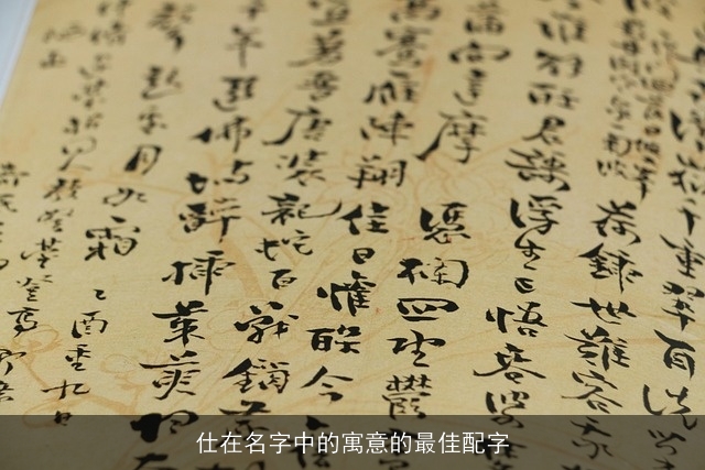 仕在名字中的寓意的最佳配字
