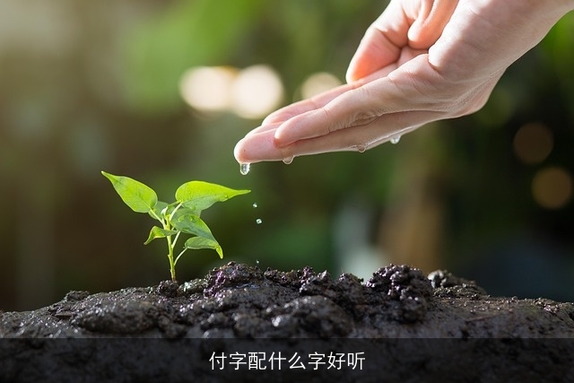 付字配什么字好听