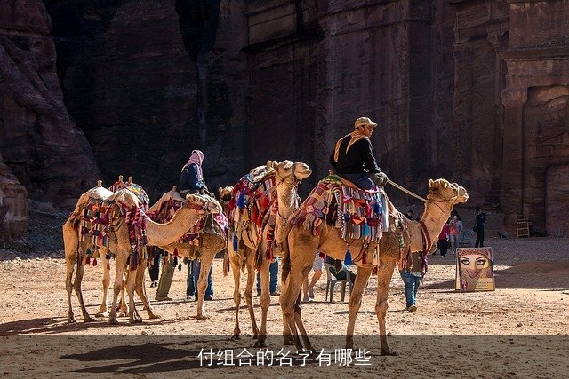 付组合的名字有哪些
