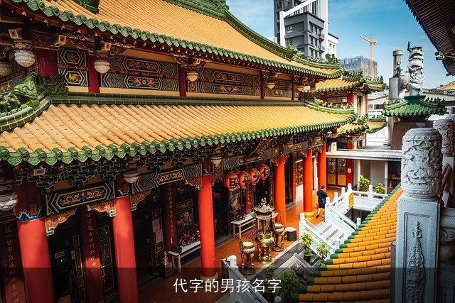 代字的男孩名字