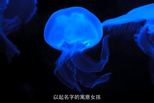 以起名字的寓意女孩