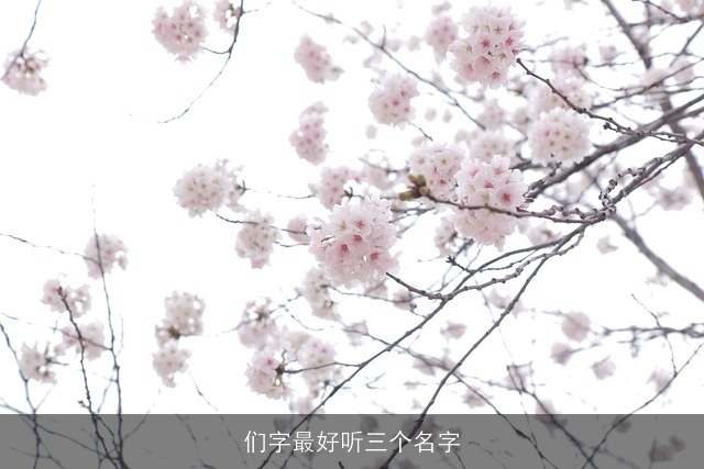 们字最好听三个名字