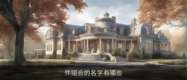 件组合的名字有哪些