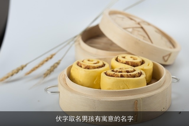 伏字取名男孩有寓意的名字