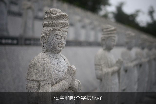 伐字和哪个字搭配好