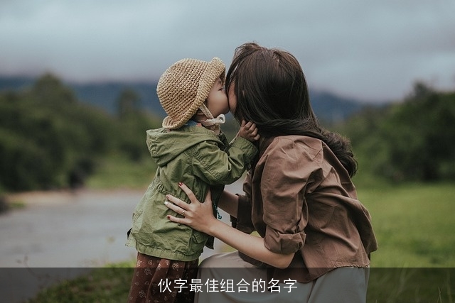伙字最佳组合的名字