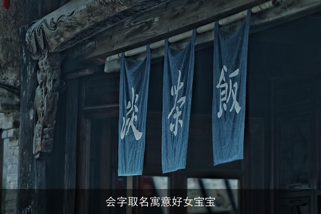 会字取名寓意好女宝宝