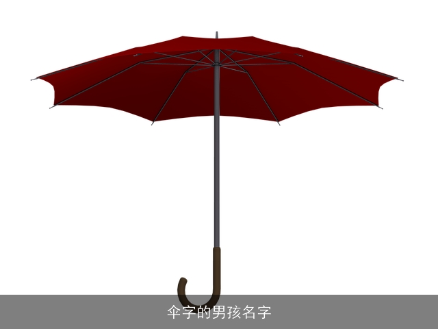 伞字的男孩名字